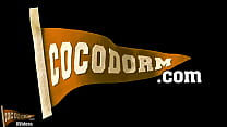 CocoDorm Kudi SOLO