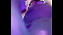 purple rabbit in wet pussy
